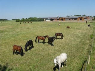 Landwirtschaft & Reitanlage Menken Hoff