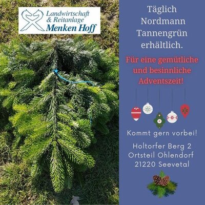 Tannengrün