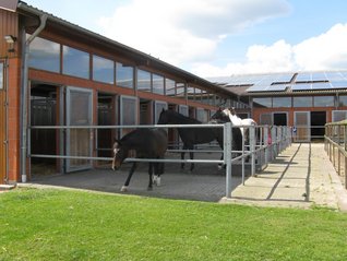 Landwirtschaft & Reitanlage Menken Hoff