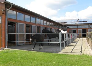 Image-198